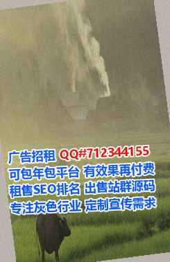 高唐代母建筑公司